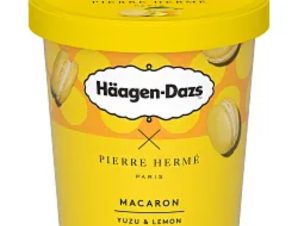 Παγωτό Macaron Yuzu Lemon Haagen Dazs (420 ml)