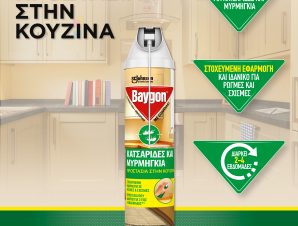 Κατσαριδικτόνο με σωληνάκι Baygon (400 ml)