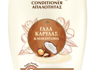 Κρέμα Μαλλιών με Γάλα Καρύδας Botanic Therapy Garnier (200 ml)