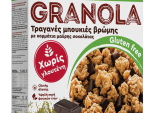 Granola Gluten Free Dark Choco Nutri Valley (320g)